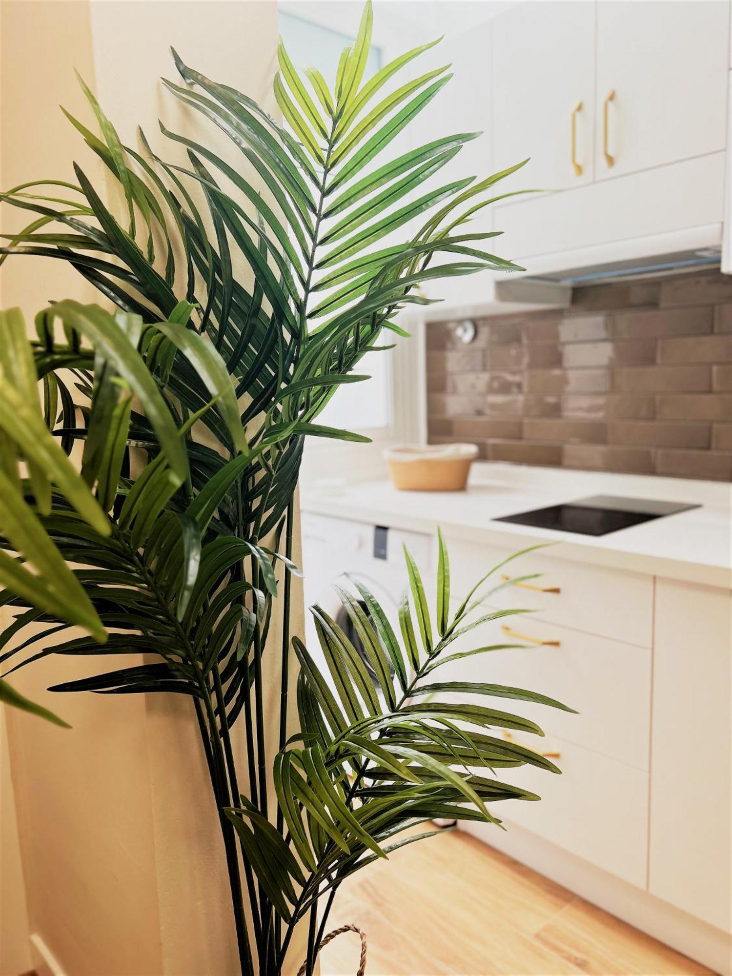 Apartamentos Pepita Сан-Себастьян-де-ла-Гомера Екстер'єр фото